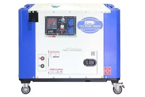 Сварочный генератор ТСС DGW-300ES